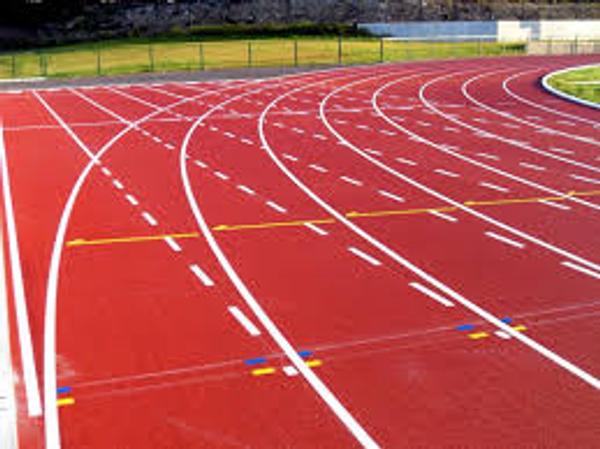 Peninsula Division Athletics Banner Photo