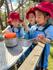 From the Acting Director of Teaching and Learning K–12 Banner Photo