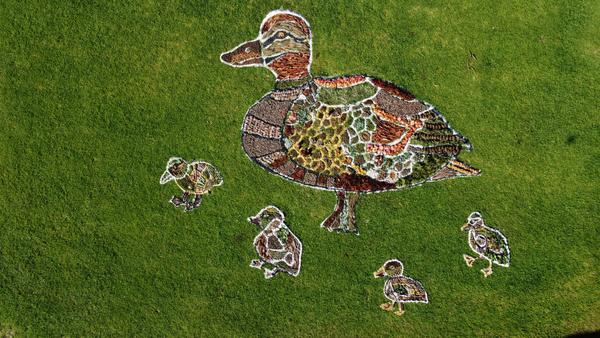 Secondary School News Banner Photo