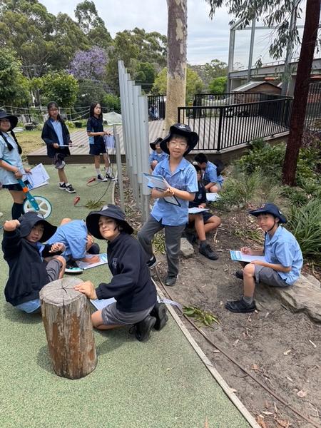 Spotlight on Learning Eucalyptus 1 & 4 Banner Photo