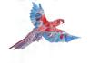 Believe Achieve Awards Banner Photo