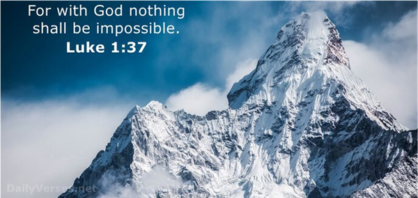 Principal's Thoughts Banner Photo