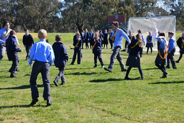 News from the College Banner Photo