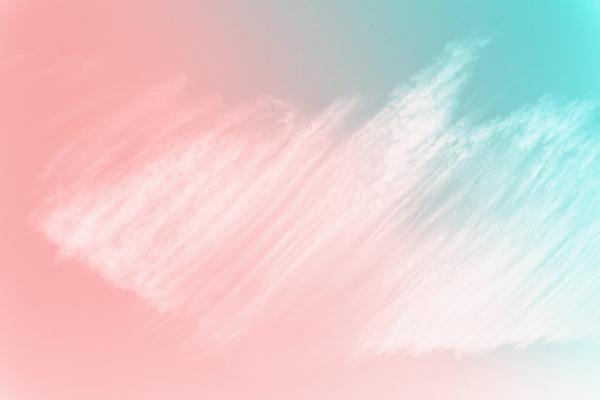 Wellbeing Banner Photo