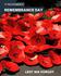 Remembrance Day Banner Photo