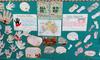 Reconciliation Week Banner Photo