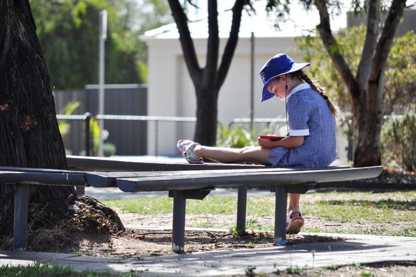 Classroom News Banner Photo