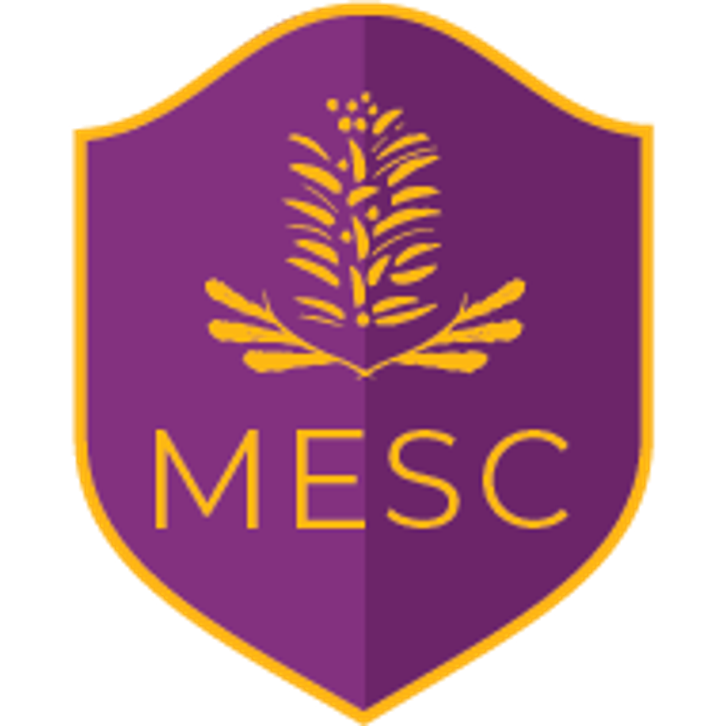 COLLEGE NEWS Banner Photo