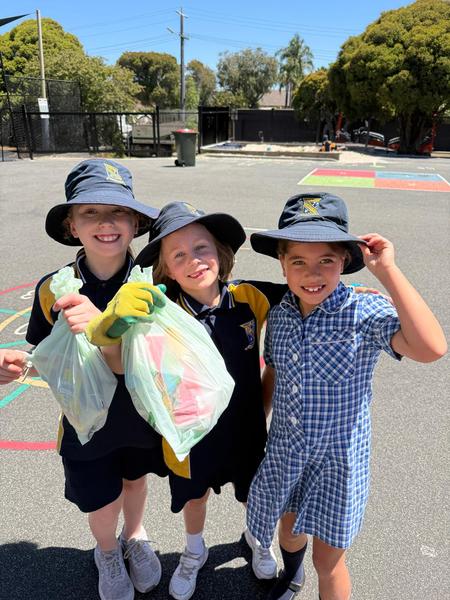 Sustainability Update Banner Photo