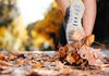 Cross Country Carnival Banner Photo