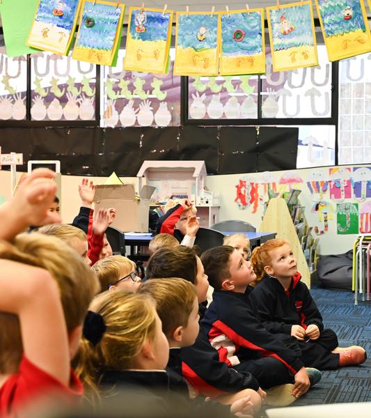 Primary School Banner Photo