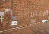 LANGUAGES WEEK Banner Photo
