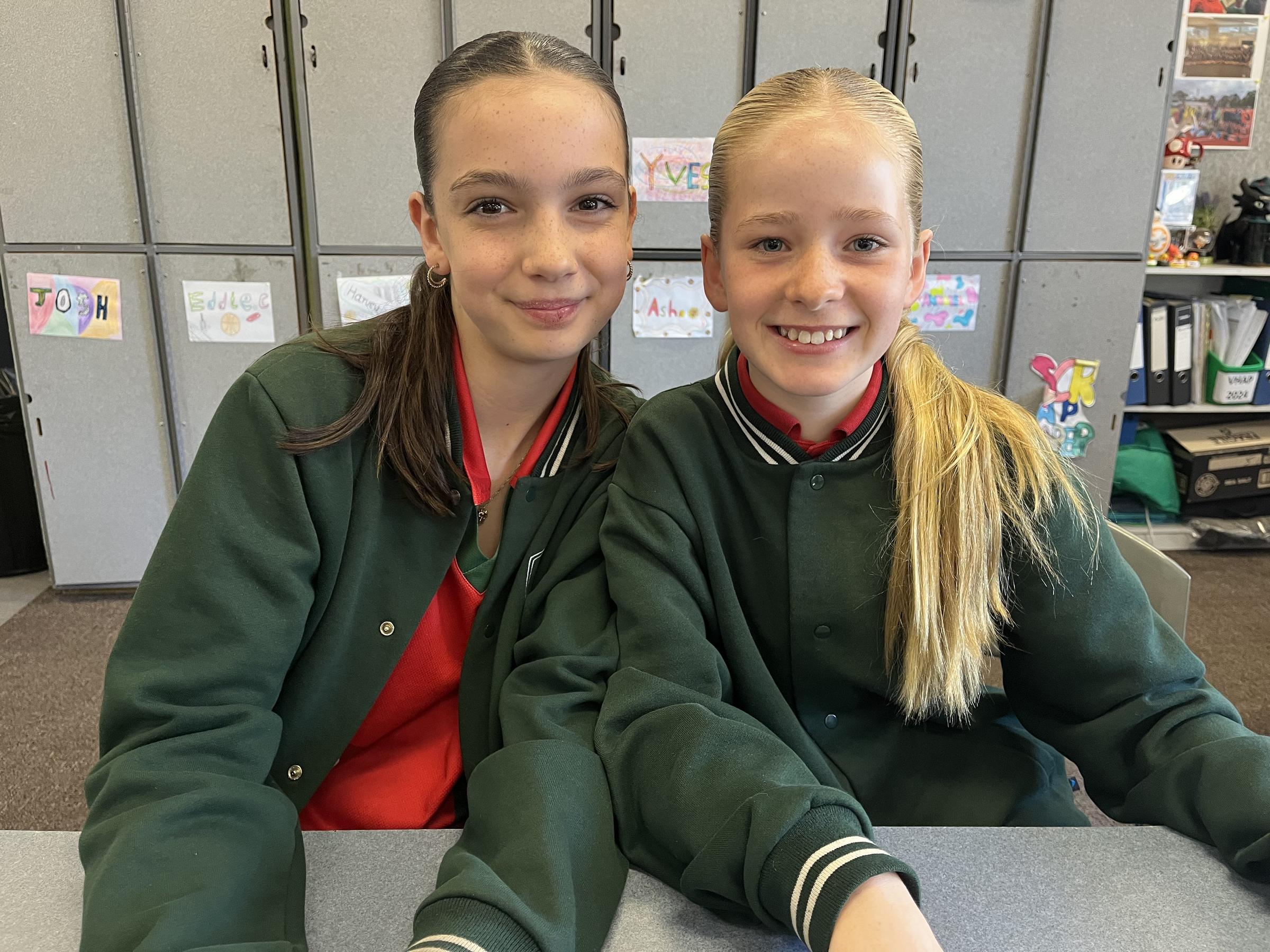 Year 6 Curriculum News Term 4, 2025  Banner Photo