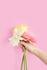 Shh...Mother's day secrets Banner Photo