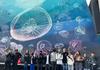 Year 11 ODE Excursion - Melbourne Aquarium Banner Photo
