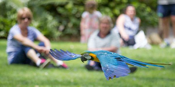 Chad Crittle (class of 2008) - a career driven by curiosity Banner Photo