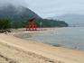 Japan Study Tour Banner Photo