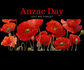 Anzac Day Banner Photo