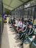 Division Softball Banner Photo