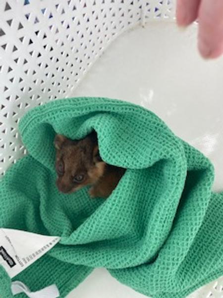 News of the Week Banner Photo