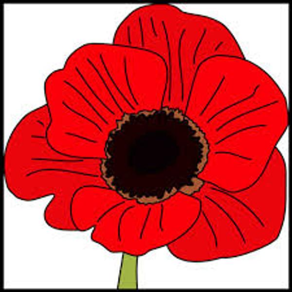 Year 3 Spotlight on Learning Banner Photo