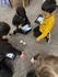 Sphero Club Banner Photo