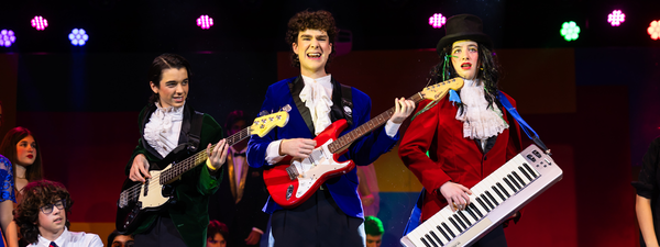 The Wedding Singer Banner Photo