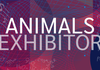 Animals Banner Photo