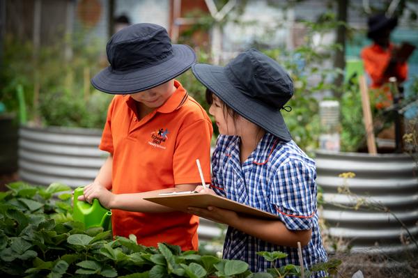 Kitchen Garden Banner Photo