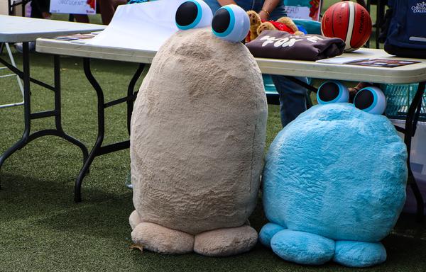 Community News Banner Photo