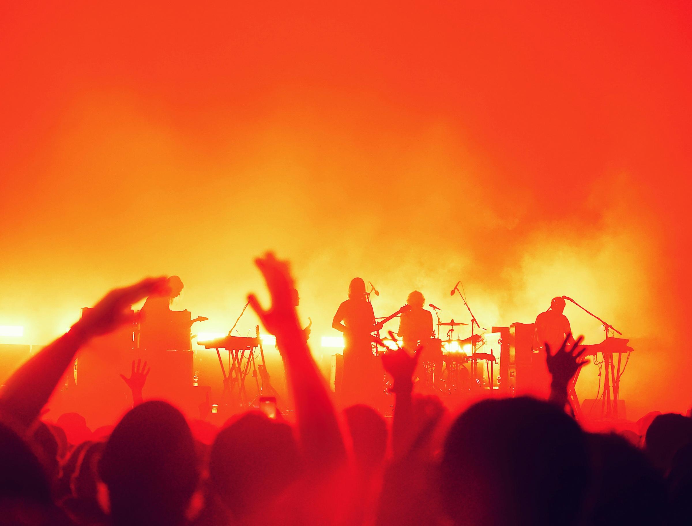 Banner Photo