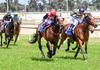 ST PATRICK'S CUP FAMILY RACES Banner Photo