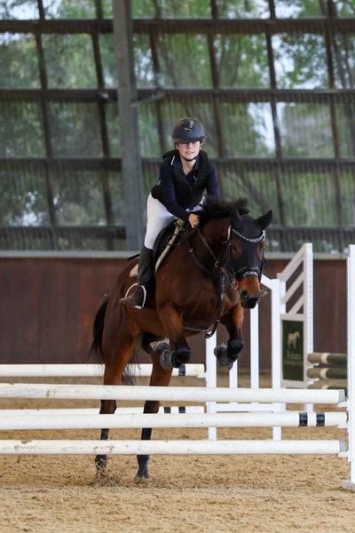 Equestrian Banner Photo