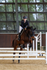 Equestrian Banner Photo