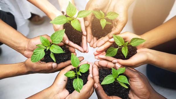 Environment and Sustainability Term 4 News Banner Photo