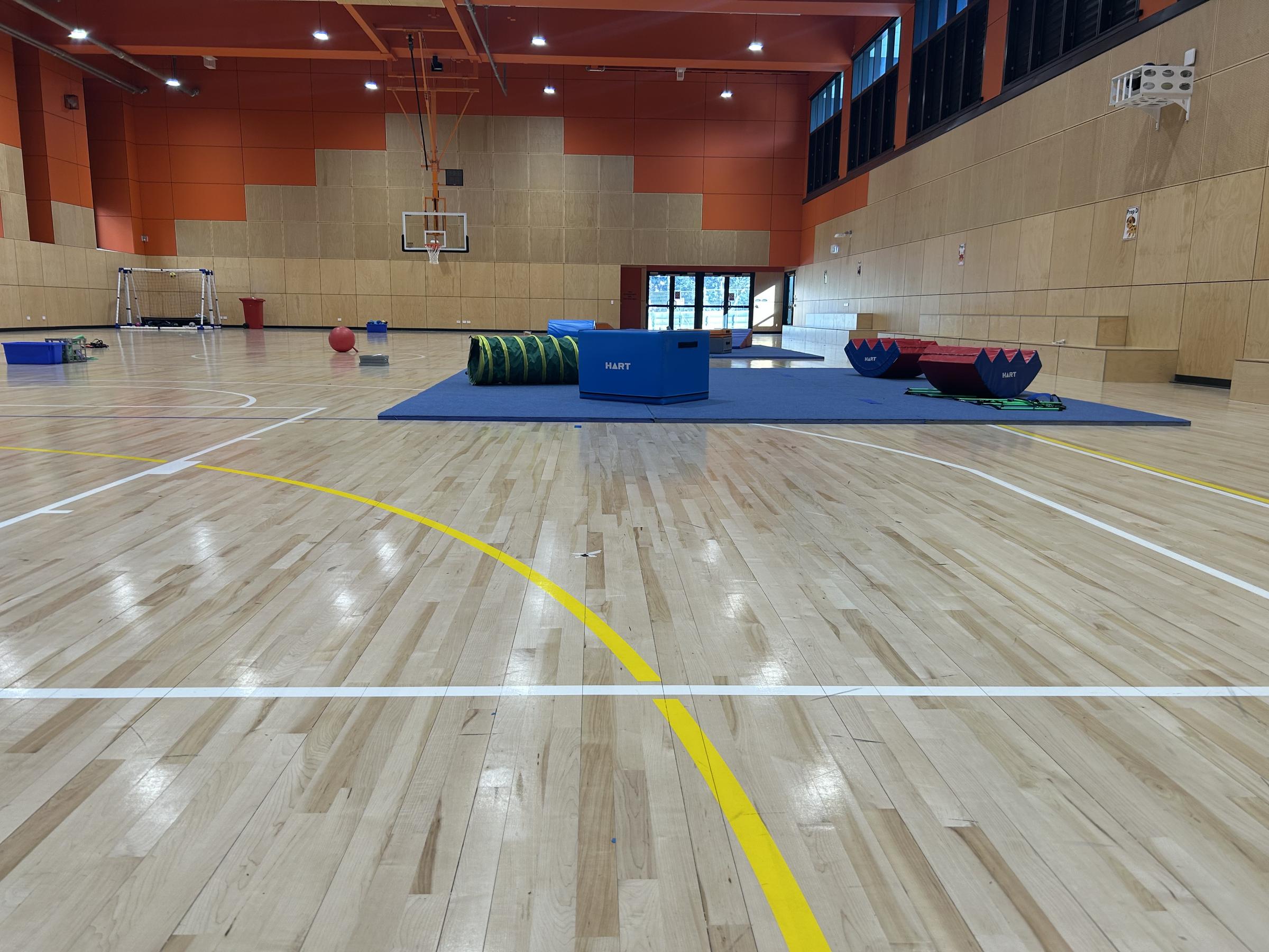 Physical Education Banner Photo