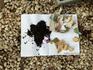 Soil Week Australia School Competition 2026 Is Your Soil Healthy?  Banner Photo