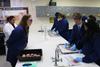 Year 11 -  Psychology Brain Dissection. Banner Photo
