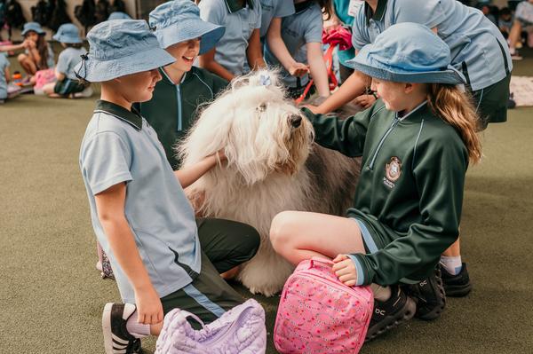 Community News Banner Photo