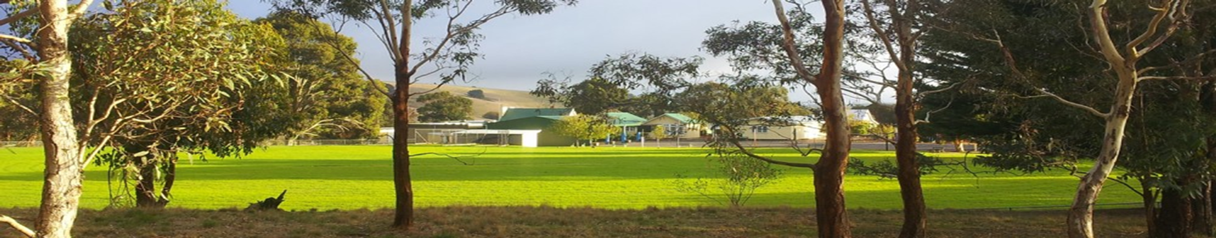  Principal’s Message Banner Photo