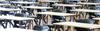 VCE Terms Banner Photo