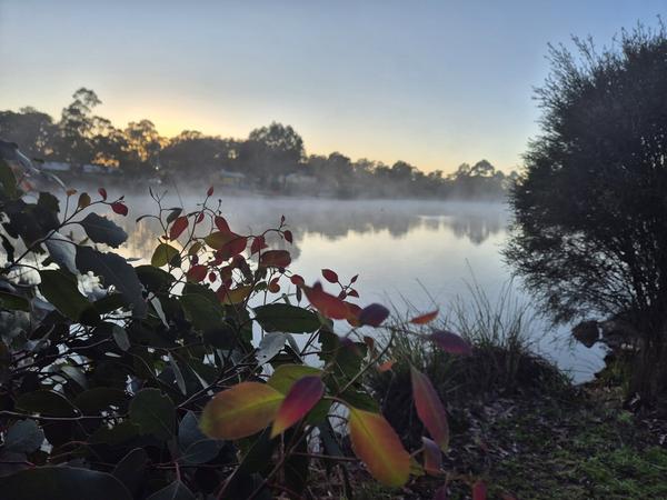 Sharing Our Faith Banner Photo