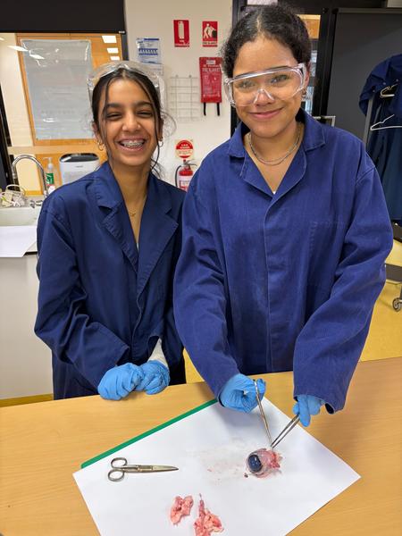 Year 9 Science Disection Banner Photo