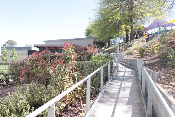 Mentoring Banner Photo