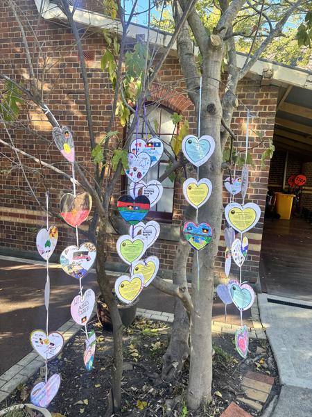 Bushfire Safety Update Banner Photo