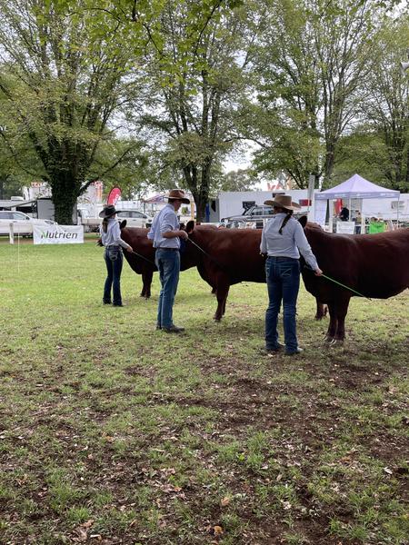 Guyra Show Banner Photo