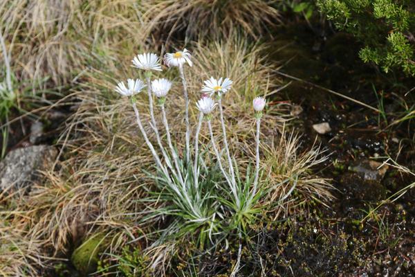 Principal's Report Banner Photo