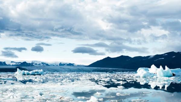 JMSS Parent/Carer Night launches with leading climate scientist- Don’t miss out! Banner Photo