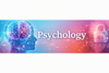Year 11 Psychology Banner Photo