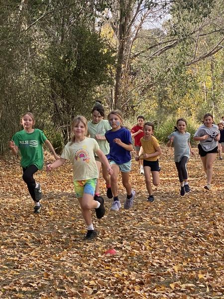 Cross Country Banner Photo